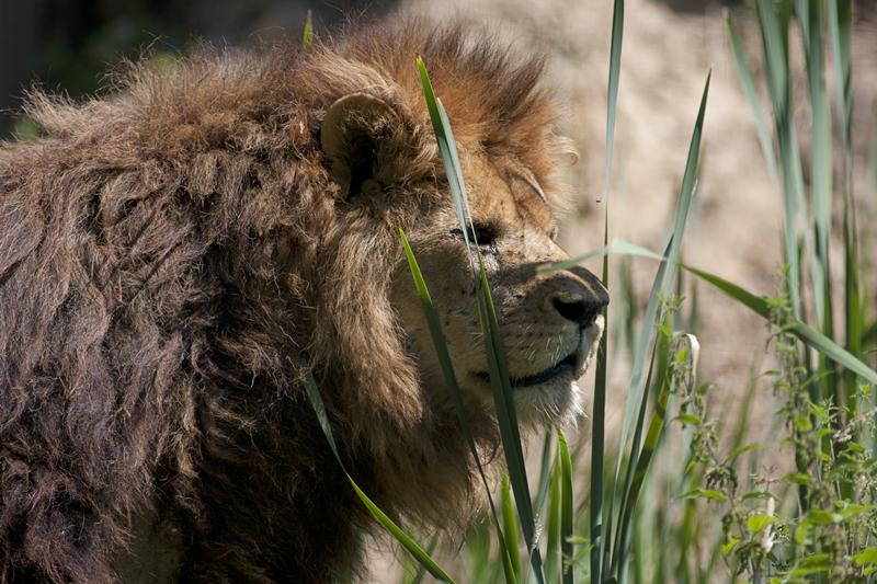 Cjp_2011_08_01_113803 (3).jpg